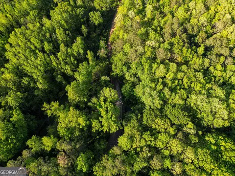 723 Channing Cope Rd, Covington, GA 30016 photo 36