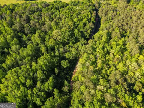 723 Channing Cope Rd, Covington, GA 30016 photo 33