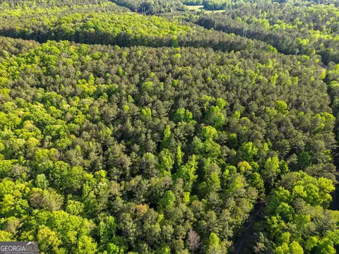723 Channing Cope Rd, Covington, GA 30016 photo 32
