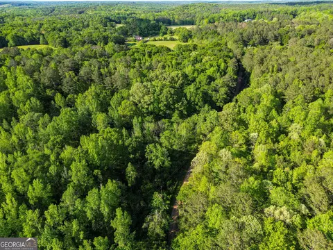 723 Channing Cope Rd, Covington, GA 30016 photo 21