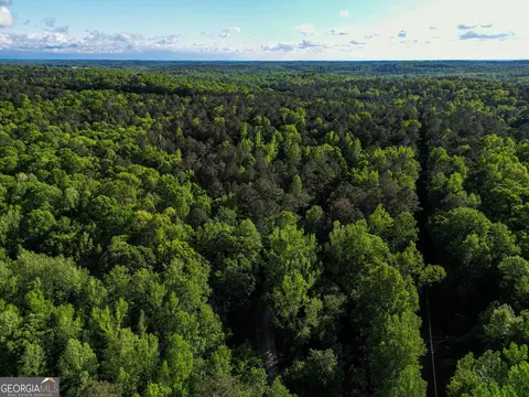723 Channing Cope Rd, Covington, GA 30016 photo 10