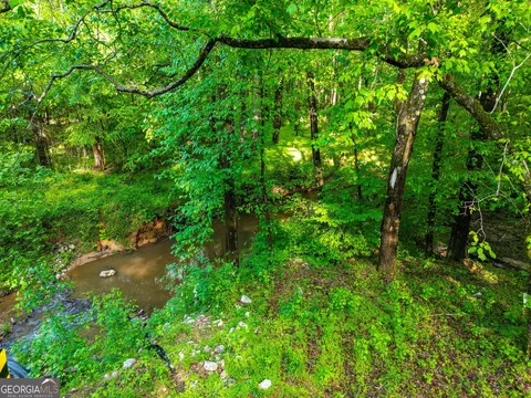 723 Channing Cope Rd, Covington, GA 30016 photo 12