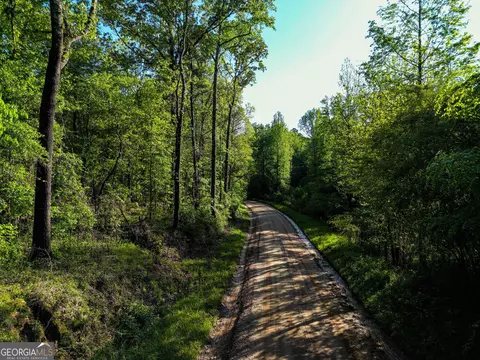 723 Channing Cope Rd, Covington, GA 30016 photo 25