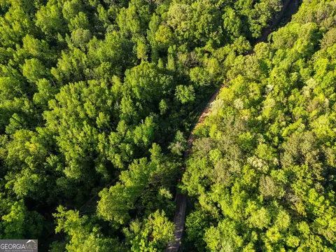 723 Channing Cope Rd, Covington, GA 30016 photo 30