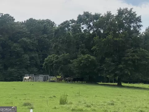0 Abbott Rd, Barnesville, GA 30204 photo 12