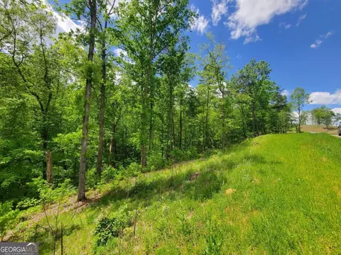 78 Jakes Landing Way, Ellijay, GA 30540