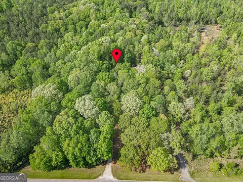 View/Area - 355 Boynton Rd, Hampton, GA 30228 photo 5 of 5