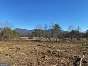 613 Peachtree W, Chatsworth, GA 30705