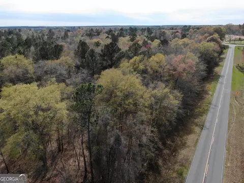 0 Neely Rd, Lumber City, GA 31549