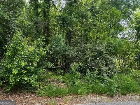 13 Barham St, Hampton, GA 30228 photo 40