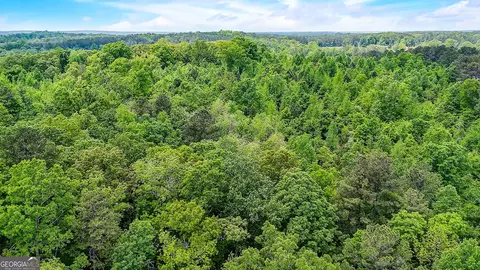 3085 County Road 288, Five Points, AL 36855 photo 58