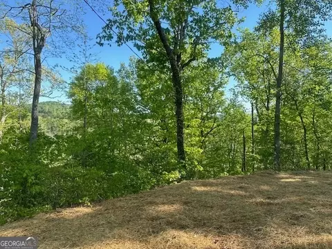 67 Josiah Dr, Toccoa, GA 30577 photo 49
