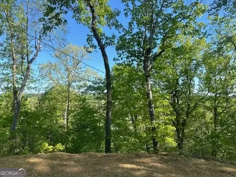 67 Josiah Dr, Toccoa, GA 30577 photo 47