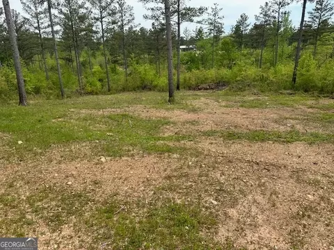 0 Powell Rd, Rome, GA 30161 photo 10