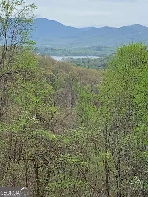 10 High Meadows Drive, Hayesville, NC 28904