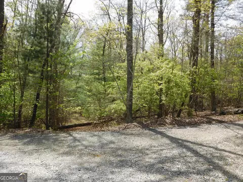 0 Dallas Ln, Blue Ridge, GA 30513