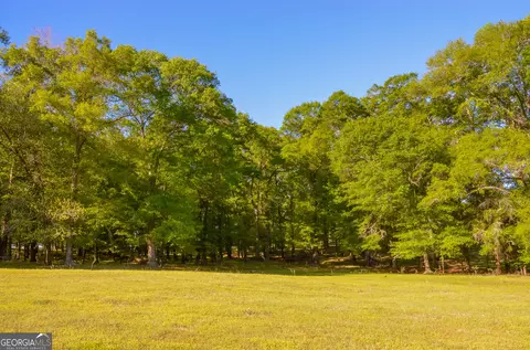 0 Payne Pond Rd, Weston, GA 31832