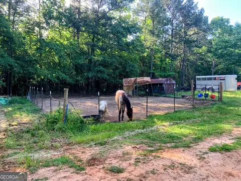 819 Cannafax Rd, Barnesville, GA 30204 photo 5