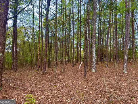 0 Cove Rd #3.7 ACRES, Woodbury, GA 30293