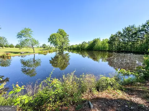 3847 Turner Rd, Williamson, GA 30292 photo 44