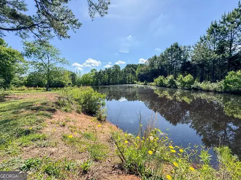 3847 Turner Rd, Williamson, GA 30292 photo 40