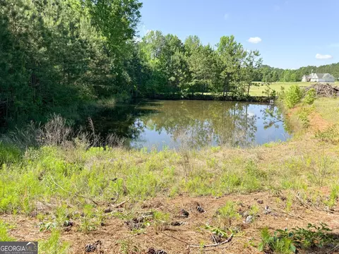 3847 Turner Rd, Williamson, GA 30292 photo 43