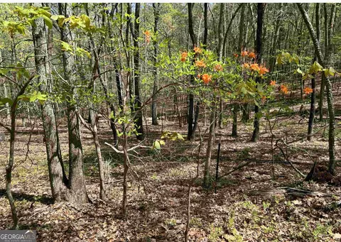 0 Asbury Mill Rd #13.48 ACRES, Cleveland, GA 30528