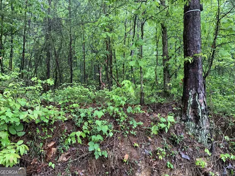 530 Skyline Dr, Rockmart, GA 30153