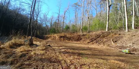 352 Goose Island Rd, Cherry Log, GA 30522