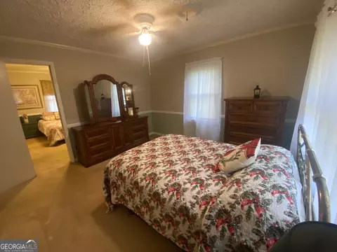 251 E Beech St, Cochran, GA 31014 photo 33