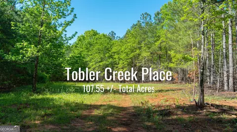 499 Country Kitchen Rd, Barnesville, GA 30204