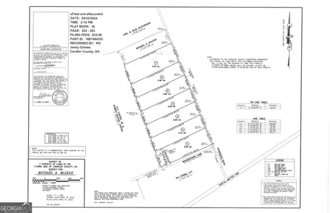 0 Hendricks Rd, Metter, GA 30439 photo 10