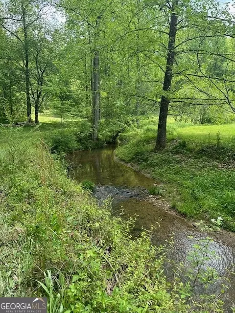Lot 9 Clear Creek Preserve Way, Ellijay, GA 30536