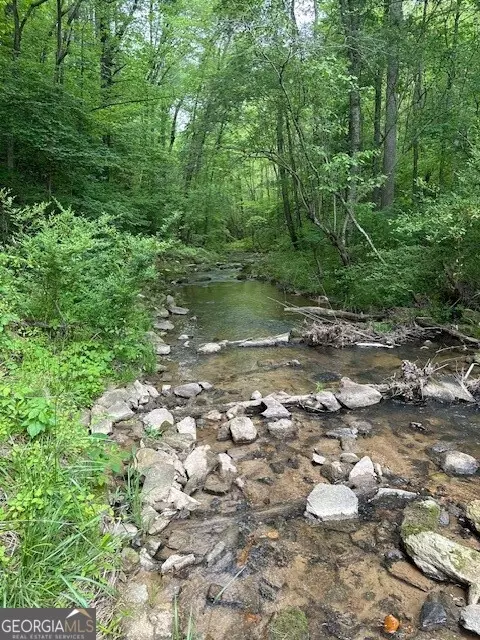 Lot 10 Clear Creek Preserve Way, Ellijay, GA 30536