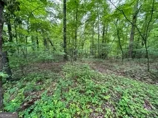 34 Cherokee Trail, Mccaysville, GA 30555