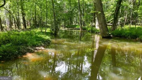 5 Acres Byrom Rd, Senoia, GA 30276 photo 38