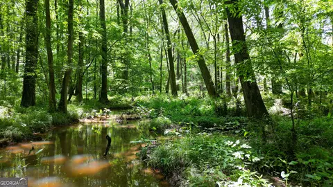 5 Acres Byrom Rd, Senoia, GA 30276 photo 24