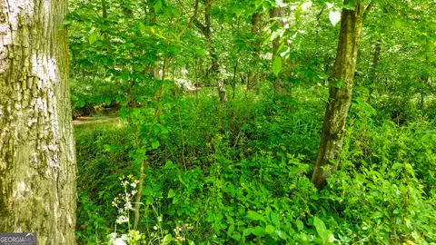 5 Acres Byrom Rd, Senoia, GA 30276 photo 36