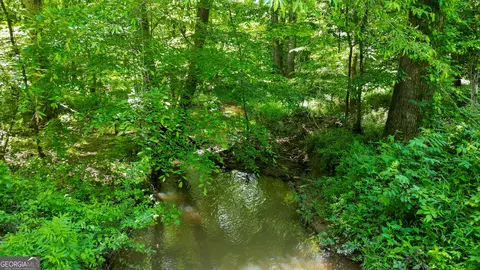 5 Acres Byrom Rd, Senoia, GA 30276 photo 16