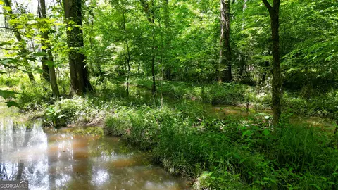 5 Acres Byrom Rd, Senoia, GA 30276 photo 27