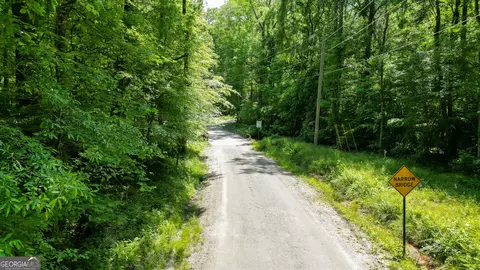 5 Acres Byrom Rd, Senoia, GA 30276 photo 47