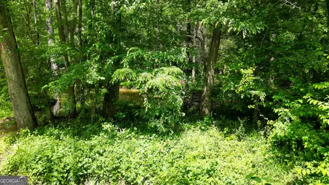 5 Acres Byrom Rd, Senoia, GA 30276 photo 34