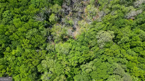 5 Acres Byrom Rd, Senoia, GA 30276 photo 2