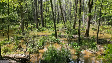 5 Acres Byrom Rd, Senoia, GA 30276 photo 33