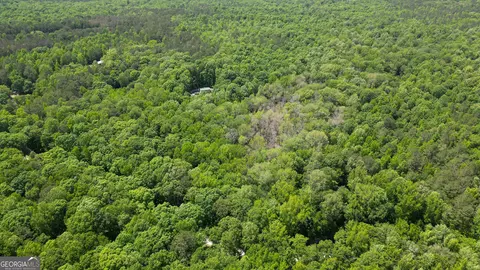 5 Acres Byrom Rd, Senoia, GA 30276 photo 4