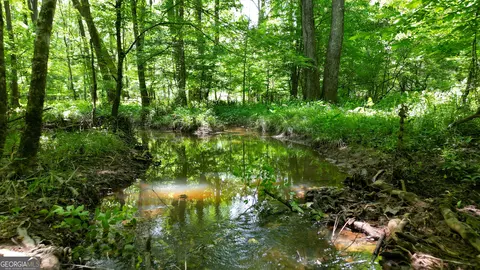 5 Acres Byrom Rd, Senoia, GA 30276 photo 19
