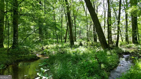 5 Acres Byrom Rd, Senoia, GA 30276 photo 25