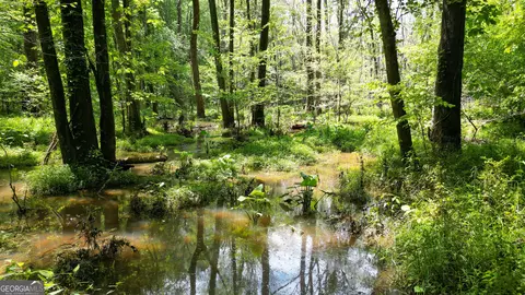 5 Acres Byrom Rd, Senoia, GA 30276 photo 30