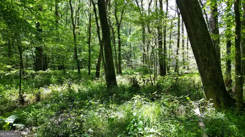 5 Acres Byrom Rd, Senoia, GA 30276 photo 26