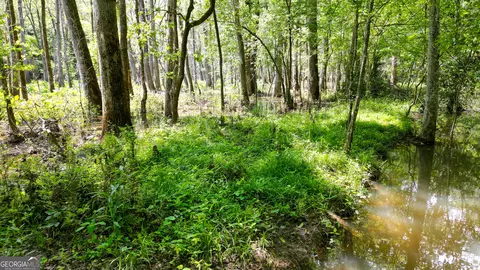 5 Acres Byrom Rd, Senoia, GA 30276 photo 39